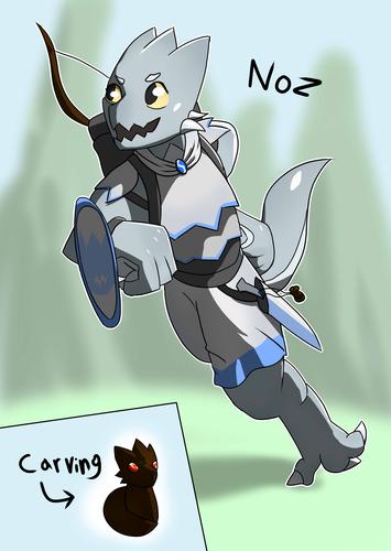 Noz